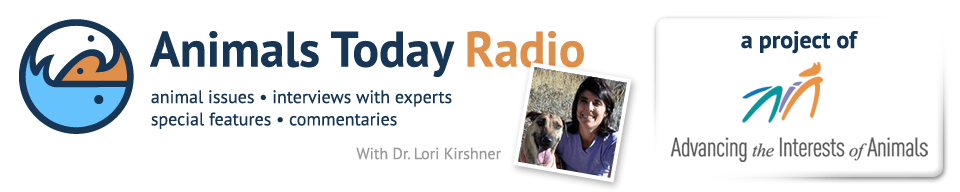 Animals Today Radio