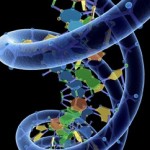 dna-picture sq