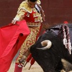 matador_bullfighting
