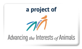 Advancing the Interests of Animals