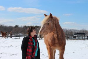 Photo of Susan Wagner, President of Equine Advocates with Mariclare, a former PMU mare rescued by Equine Advocates, along with 45 other mares from a PMU factory farm in Manitoba, Canada. Most of those mares were pregnant at the time of their rescue. Now PMU production has moved almost entirely from Canada to China, a fact of which most women, their doctors and the American public, in general, are not yet aware. 