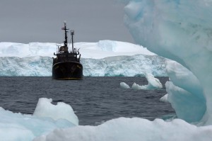 Farley Mowat amid icebergs. Photo: Sea Shepherd Conservation Society. 