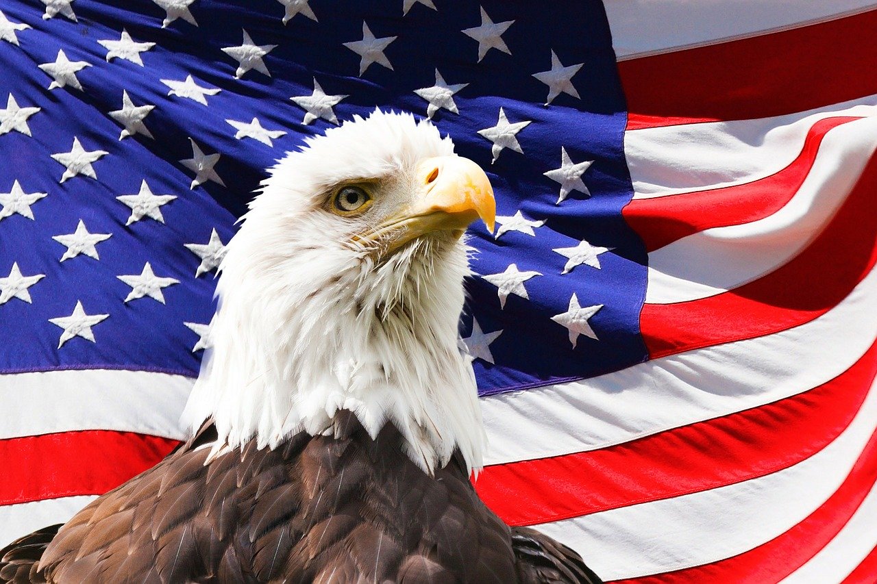 The American Bald Eagle in our culture