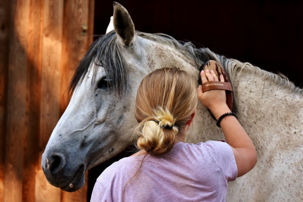 US live animal markets under scrutiny