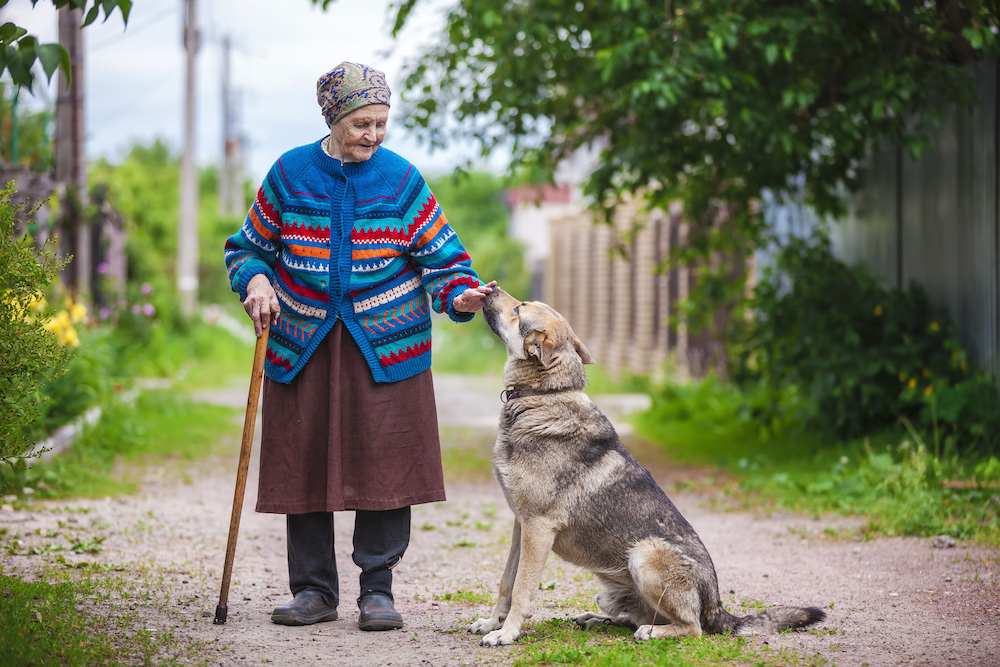 What will happen to your pets if you pass away?